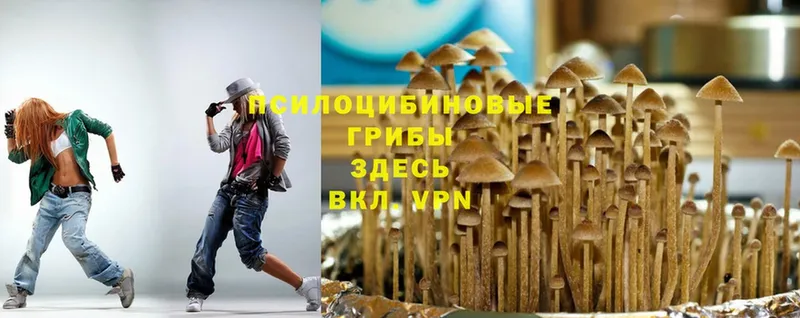 Галлюциногенные грибы MAGIC MUSHROOMS  Терек 